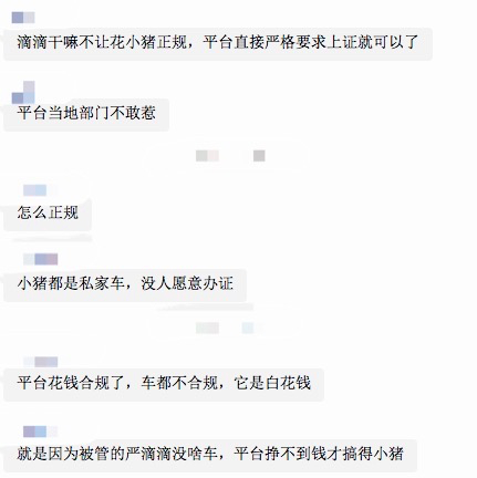 有趣的是，在一些司机看来，滴滴正需要花小猪的“不合规”。