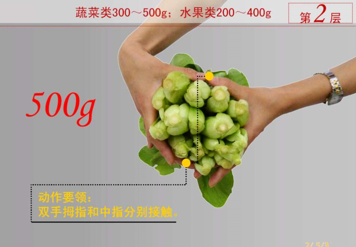 借我一双手,看我给你变出一座膳食宝塔