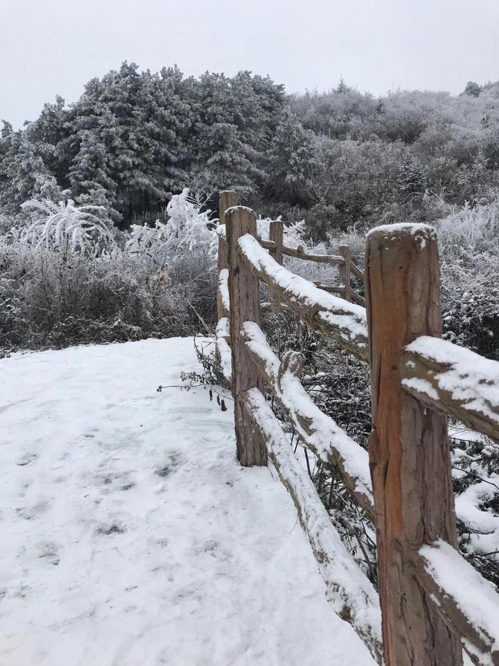 甘肃陇南成县鸡峰山雪景,您哪下雪了吗?