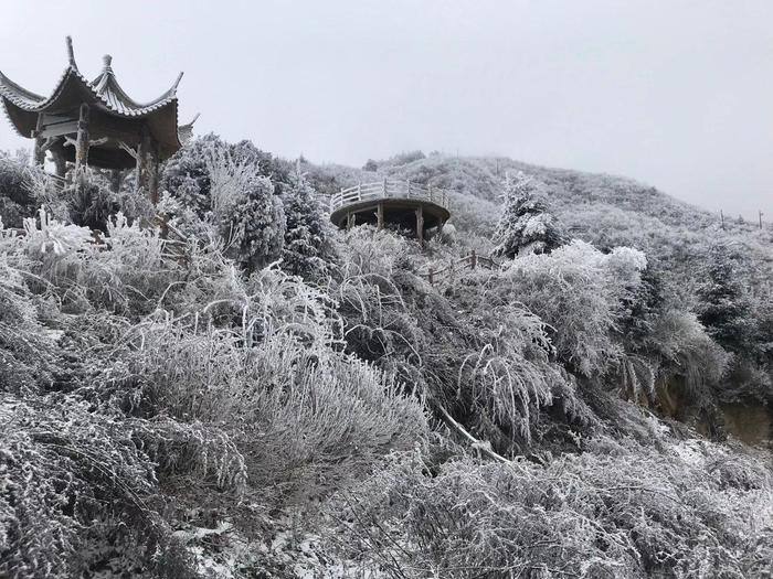 甘肃陇南成县鸡峰山雪景,您哪下雪了吗?