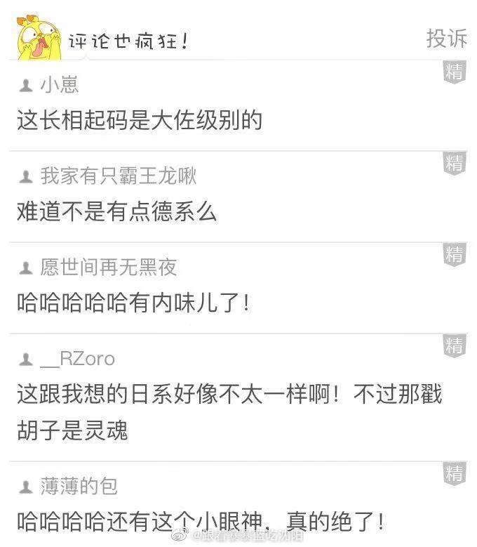 这只猫是东短?长相和花色绝到一定程度了… (图源网络)|猫_新浪新闻
