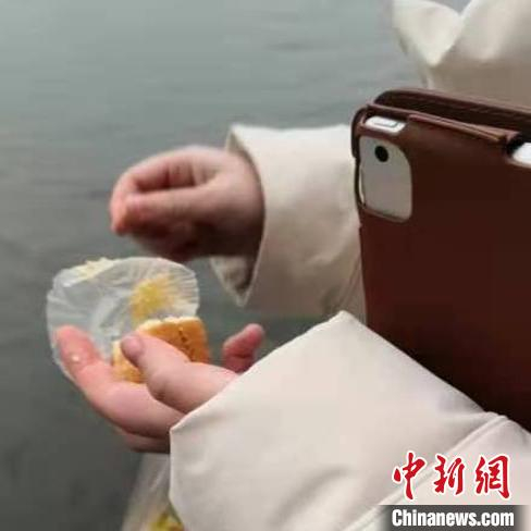 图为杭州西湖边游客在喂鸳鸯 陆建利 摄