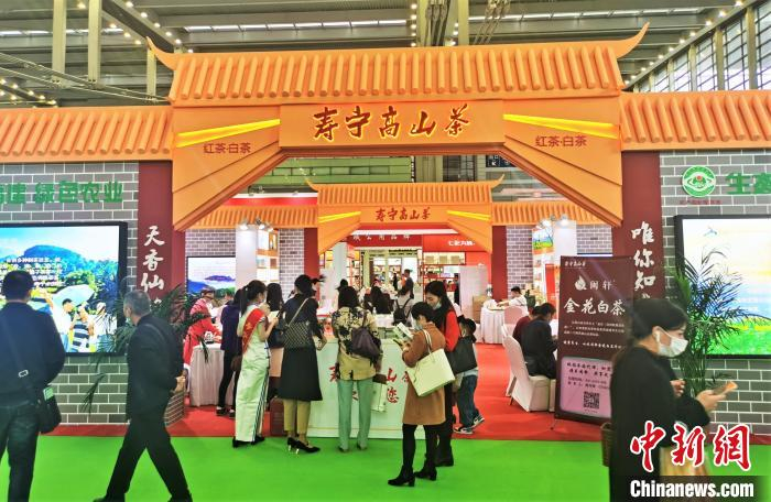 图为“寿宁高山茶”展馆。　林榕生 摄