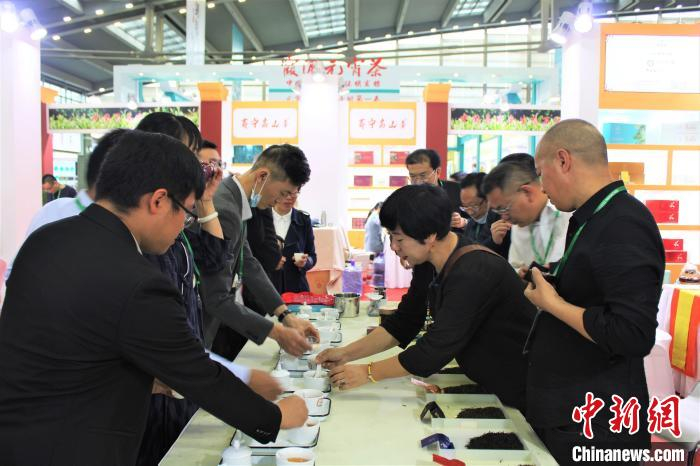 图为茶王品鉴会及审评体验现场。　林榕生 摄
