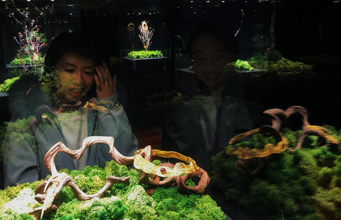 张凡穿越成崇祯 主角是谁 小说叫什么