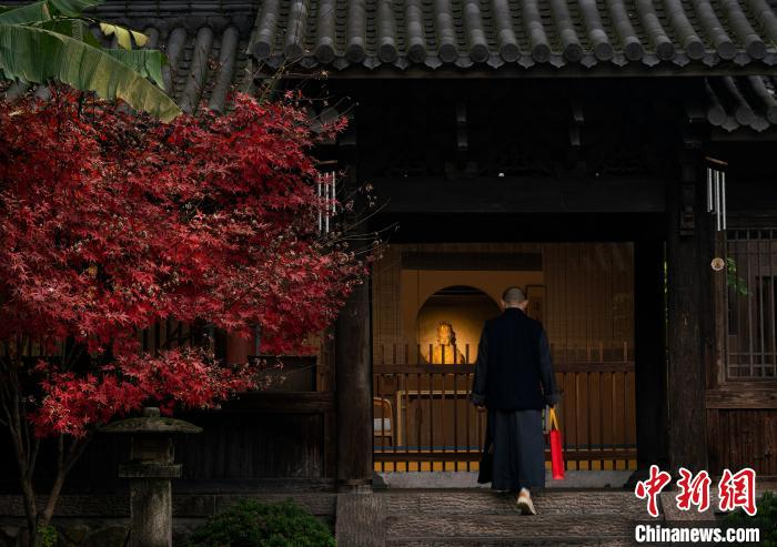 灵隐寺一座庙堂之外红枫似火。　薛宁刚（通讯员）　摄
