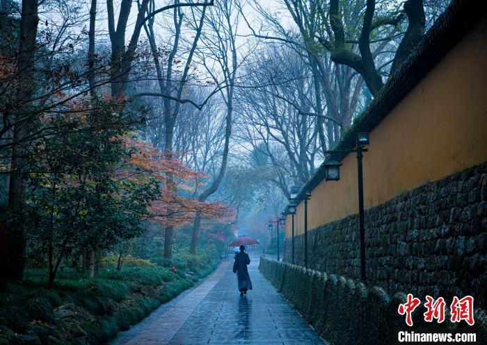 深秋初冬时节灵隐寺的游步道格外清幽。　薛宁刚（通讯员）　摄