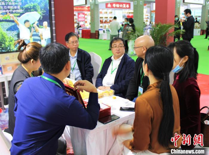 图为茶客品茗寿宁高山茶。　林榕生 摄