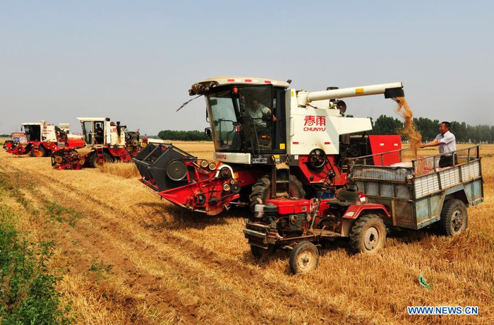 Farmers operate harvesters in wheat fields in Dafu Village, Xixindian Township, Botou City of north China's Hebei Province, June 12, 2020. China's grain output reached nearly 670 billion kg in 2020, up 5.65 billion kg, or 0.9 percent, from last year, the National Bureau of Statistics (NBS) said on Thursday. This marks the sixth consecutive year that the country's total grain production has exceeded 650 billion kg. The bumper harvest comes despite disrupted farming as a result of the COVID-19 epidemic, which has been held in check thanks to efforts to ensure the transportation of agricultural materials and strengthen farming management. (Xinhua/Mu Yu)