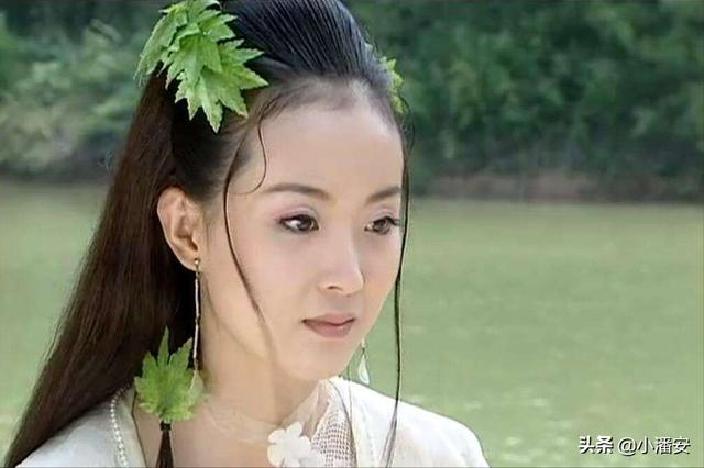 沈浪和白飞飞在地下密室完成生命大和谐,为何不知阿飞是他儿子?