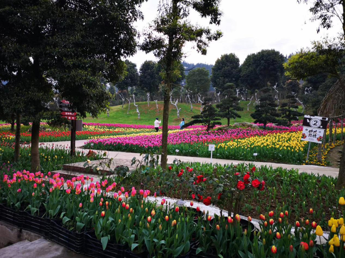 太寺垭森林公园 图：沙坪坝区农业农村委