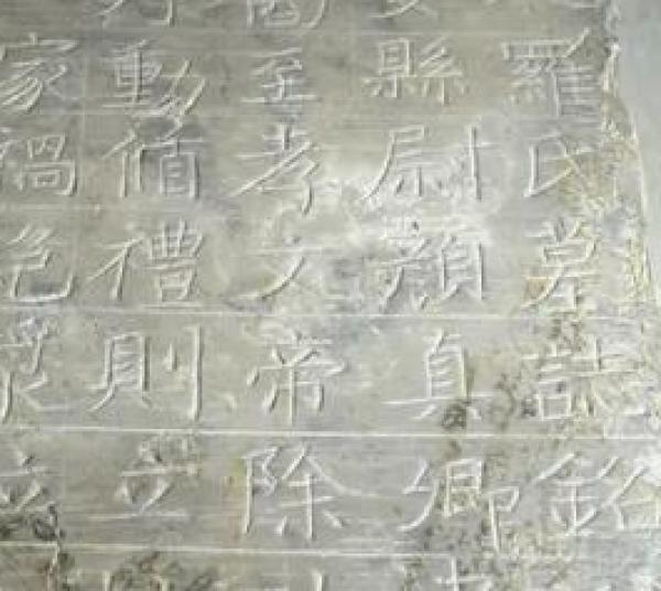 罗婉顺墓志书者为颜真卿，文内自称为长安县尉