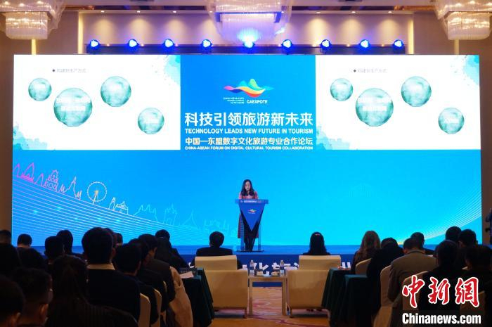 图为中国一东盟数字文化旅游专业合作论坛现场。　欧惠兰 摄