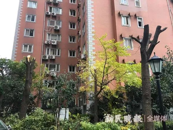 新民晚报记者 季晟祯 摄