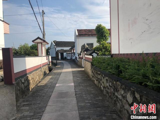 舟山农村一景。 林波 摄