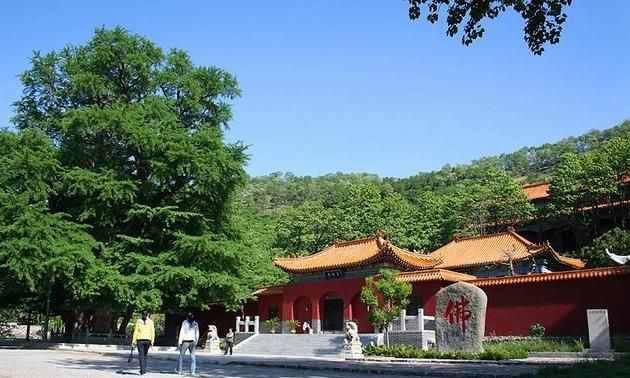 安丘短视频seo价格