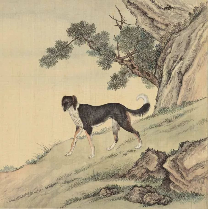 鬣狗  中信出版社 图