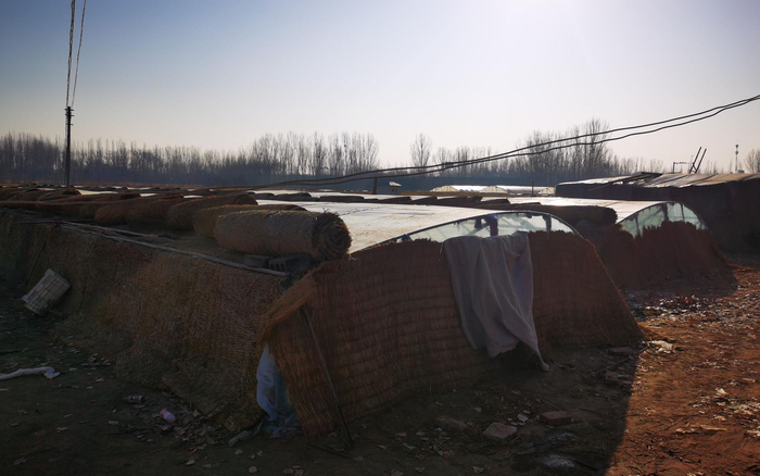 北京房山葫芦垡村附近，搭着数十个塑料大棚，许多外地农民在这里租地种菜。新京报记者 王颖 摄