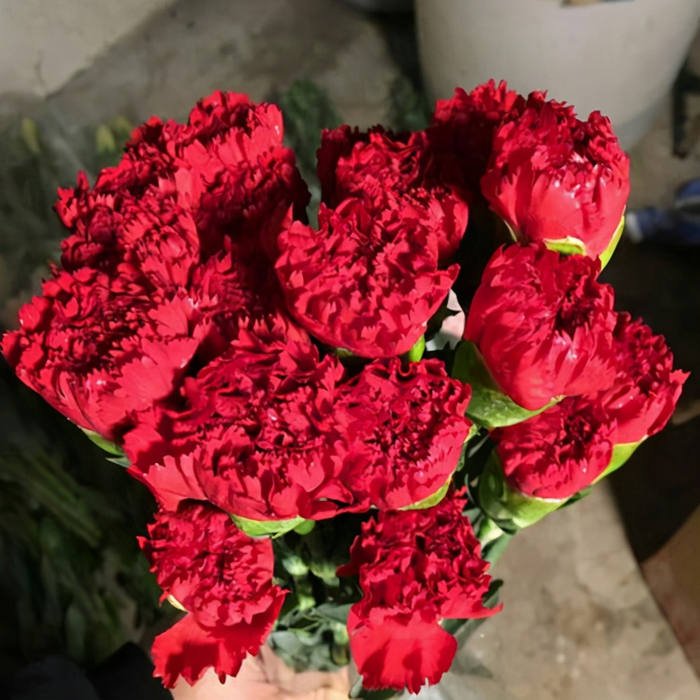 想要准备一份别出心裁的礼物,不如送这6种花!