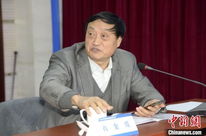 国家发改委国土开发与地区经济研究所原所长肖金成发言。　马海燕 摄