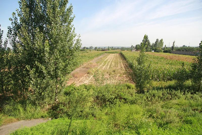 龙渠寺砂厂整改后，拍摄于2020年9月3日。（来源：资料图片）