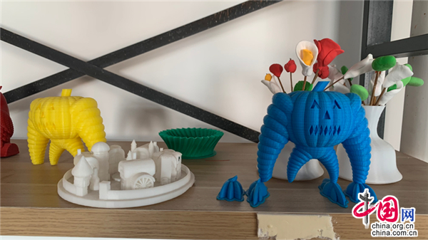 学生的3D打印作品。中国网记者 郭泽涵 摄