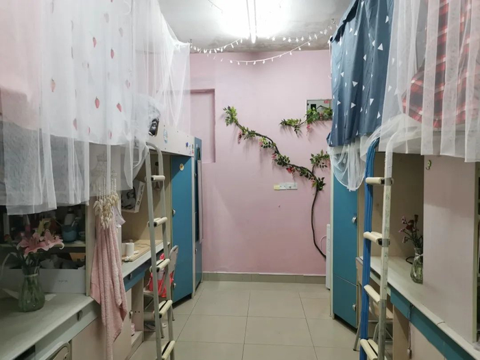 感觉充满了“仙气”的寝室 重庆大学供图