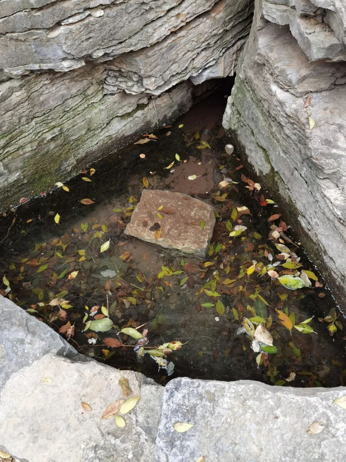 △//又是一处清澈冰凉的山泉