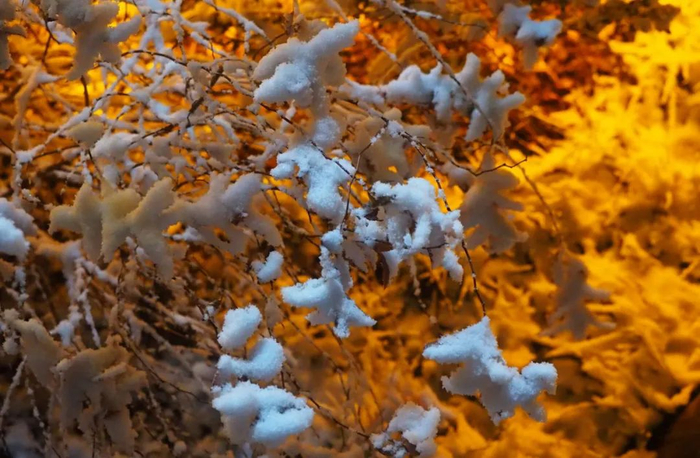 （齐鲁晚报齐鲁壹点记者周青先摄）