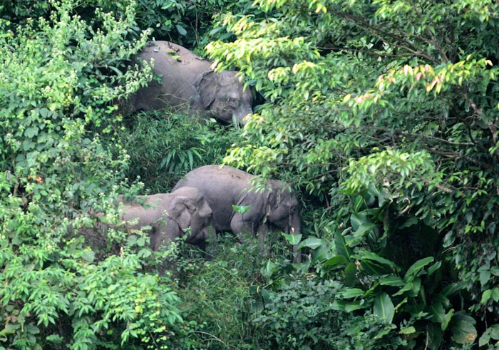 资料图。杨峥 摄