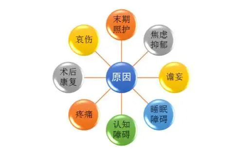 对老年人进行音乐治疗的主要原因（图：《音乐治疗在老年医学领域的应用》）