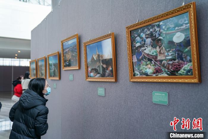 观众在观看图片展。　陈冠言 摄