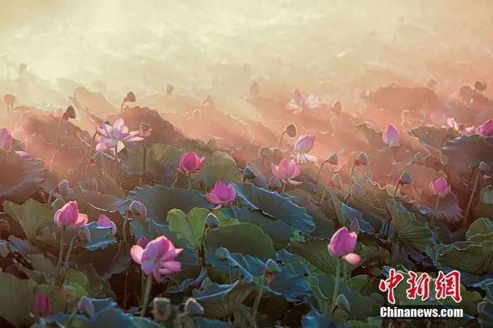 资料图。刘浩 摄