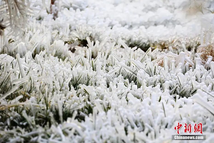 资料图。作者：李靖海