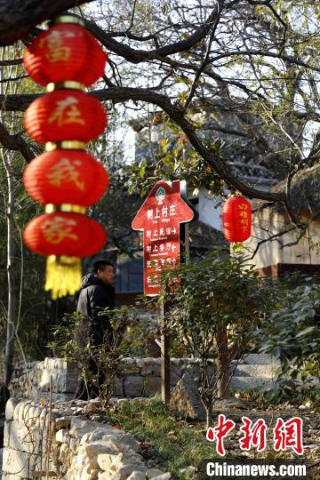 “树上村庄”现已更新至第五代，这期间，吴西来种植花草数万株，树木上万棵，通过治山治水、整治村容村貌反哺生态。　沙见龙 摄