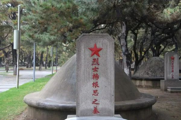 ▲沈阳抗美援朝烈士陵园内的杨根思墓。 田宝剑/摄