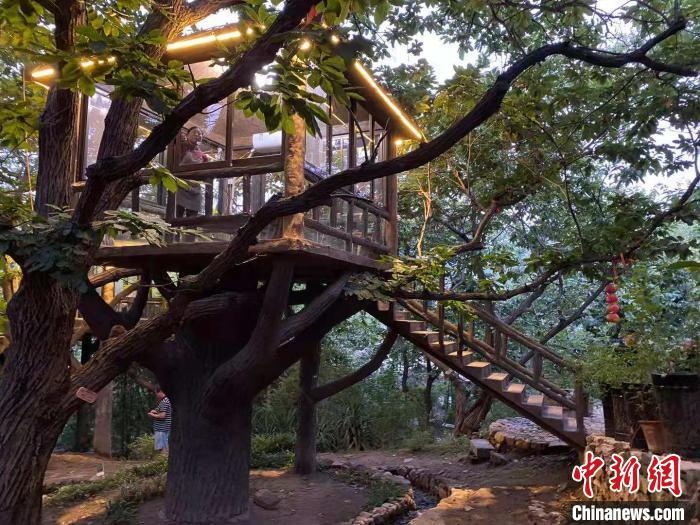 依托当地百年板栗树资源，餐厅和民宿成功开到了树上，把农家体验的趣味融入当地天然生态。　吴西来 摄