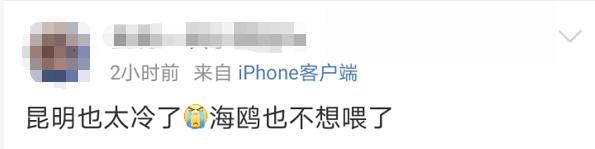 上述截图自微博