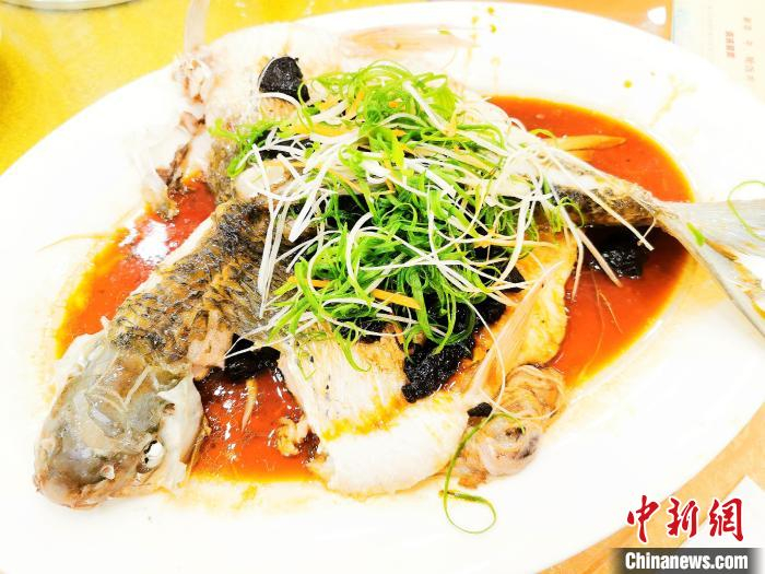 姜葱煎焖鲮鱼 李晓春 摄
