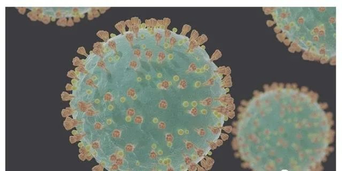 中疾控目前我国没有发现变异新冠病毒输入情况