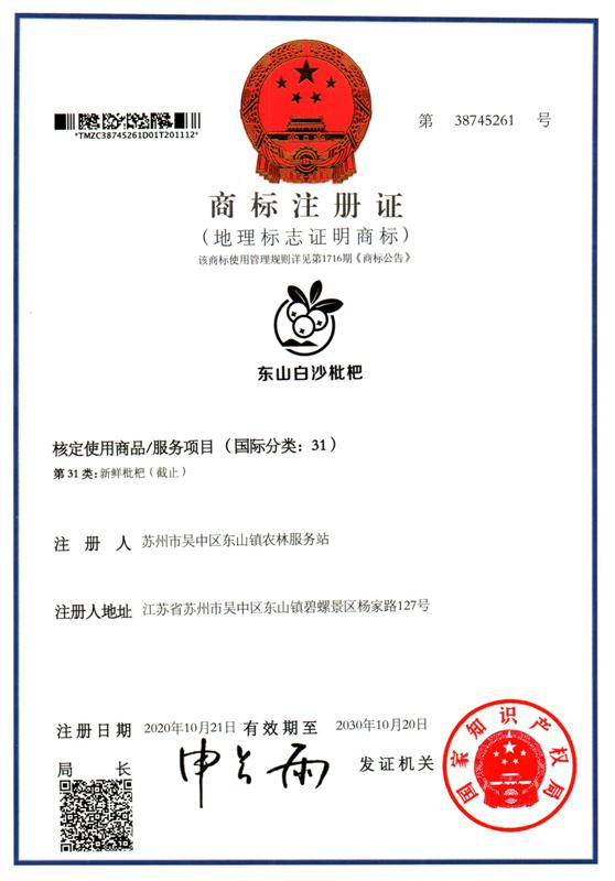 版权登记的重要性及行业动态解读
