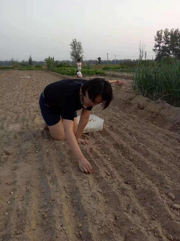 去年7月，张静静独自带着孩子回老家，帮老人种蒜。
