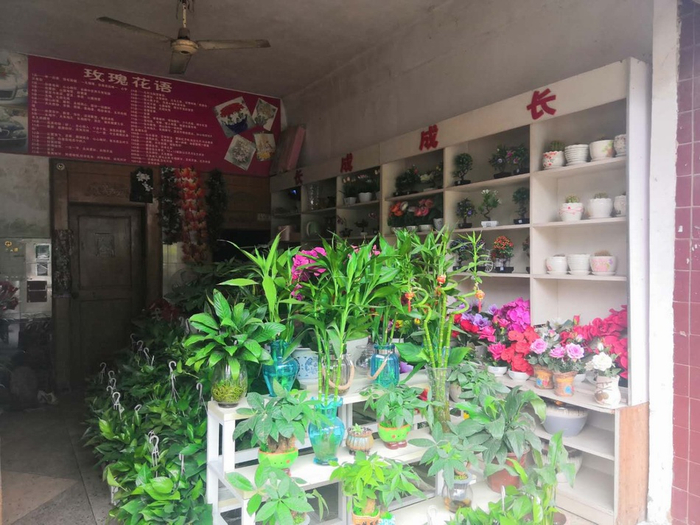 唐慧的花店，三十几平方米。澎湃新闻记者明鹊 图