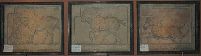 昭陵六骏浮雕石刻中的飒露紫（复制品）、拳毛䯄（复制品）、白蹄乌（图片来源：Wikipedia）