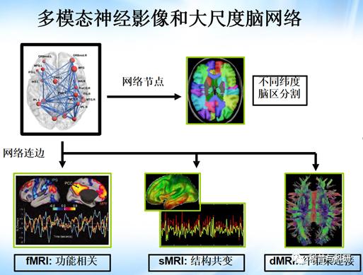 重磅预告：坐标深圳的一系列磁共振和脑电数据处理学习（2021年）插图22