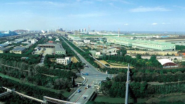 本文图片均来自上观新闻