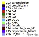 重磅预告：坐标深圳的一系列磁共振和脑电数据处理学习（2021年）插图5