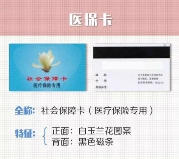 图说：网络图（下同）