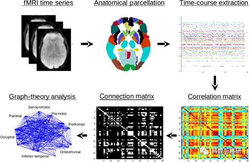 重磅预告：坐标深圳的一系列磁共振和脑电数据处理学习（2021年）插图24