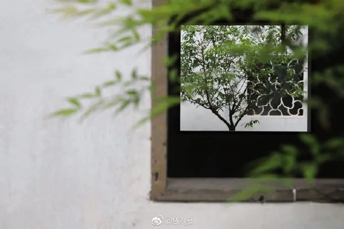 亦窗亦门亦景，探寻江南园林的古窗浪漫|文人_新浪新闻